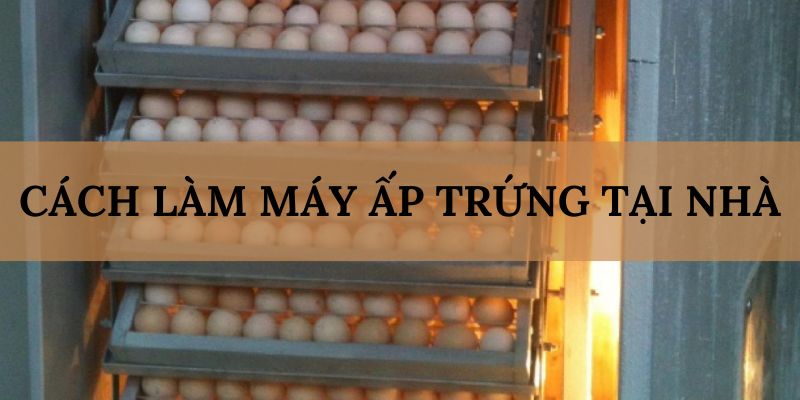 Banner www.jfg.com.vn