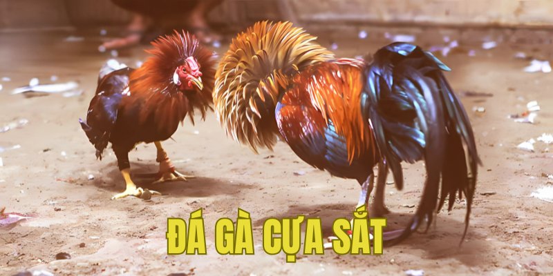 Banner www.jfg.com.vn