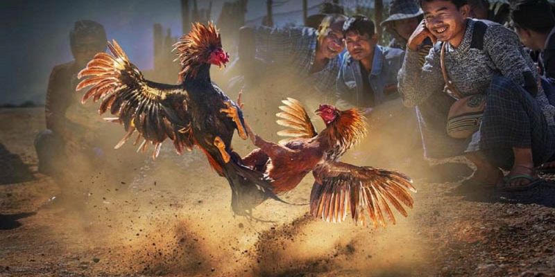 Banner www.jfg.com.vn